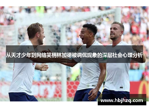 从天才少年到网络笑柄林加德被调侃现象的深层社会心理分析